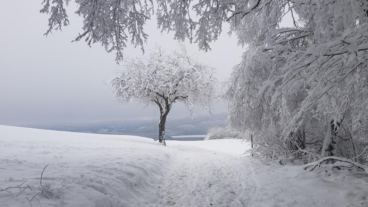 Sonnenschein Am Rursee Simmerath Εξωτερικό φωτογραφία
